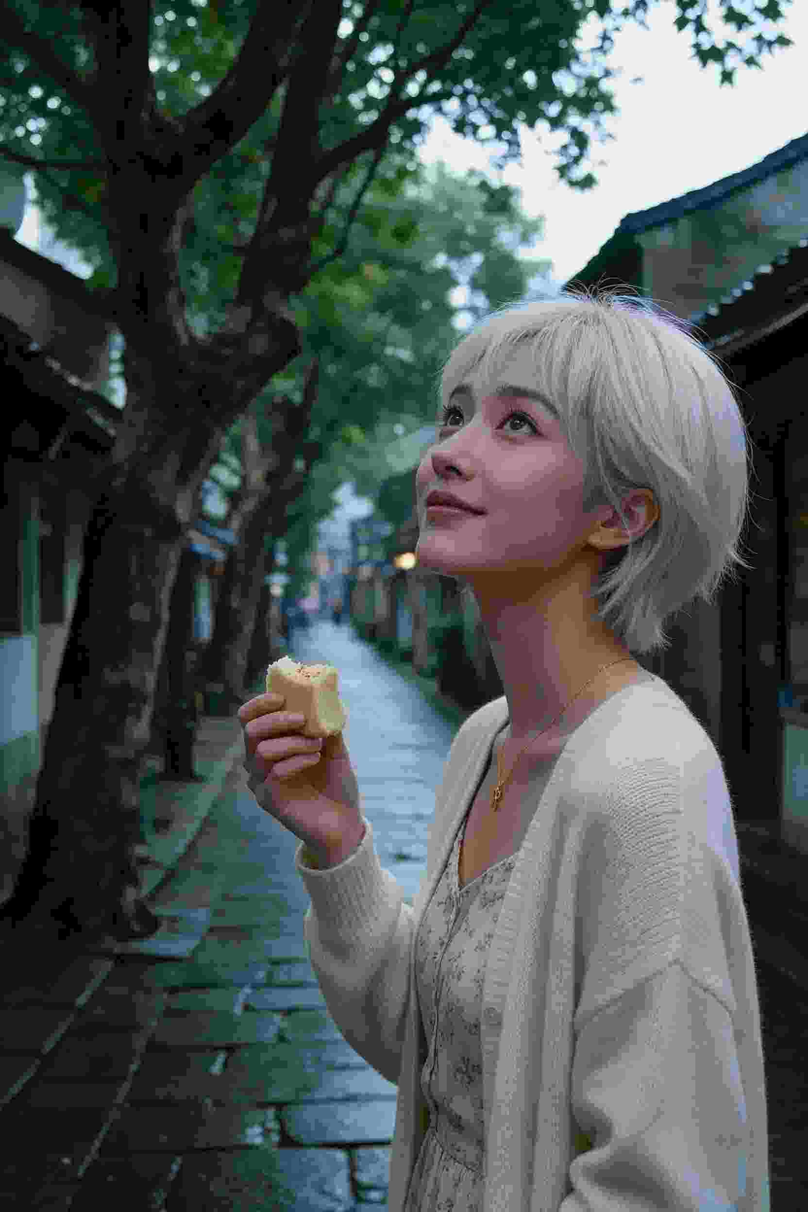 轮播图5